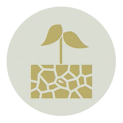 Drought and heat tolerant