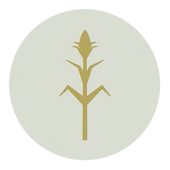 Good standing ability