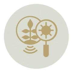 High Disease Tolerance